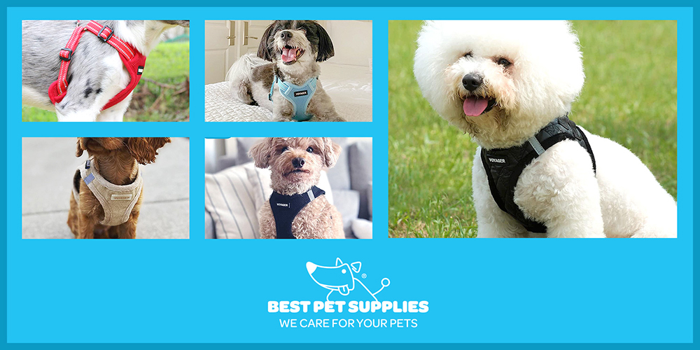 Best Pet Supplies NY発祥 高品質なペット商品 ベストペットサプライ
