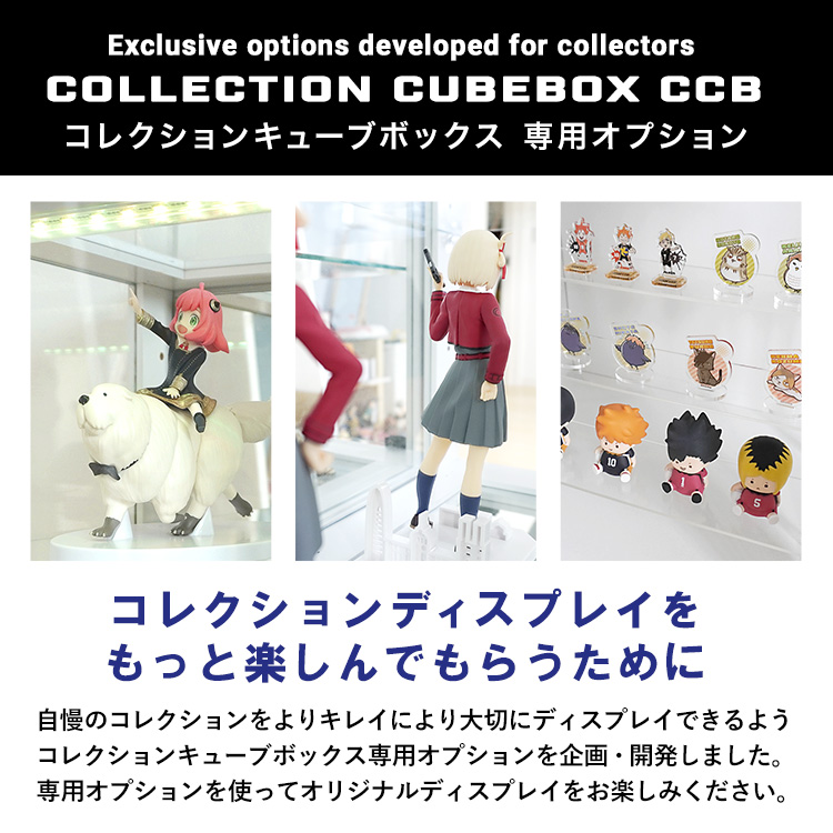 コレクションキューブボックスオープンタイプ専用オプションアクリル扉単品