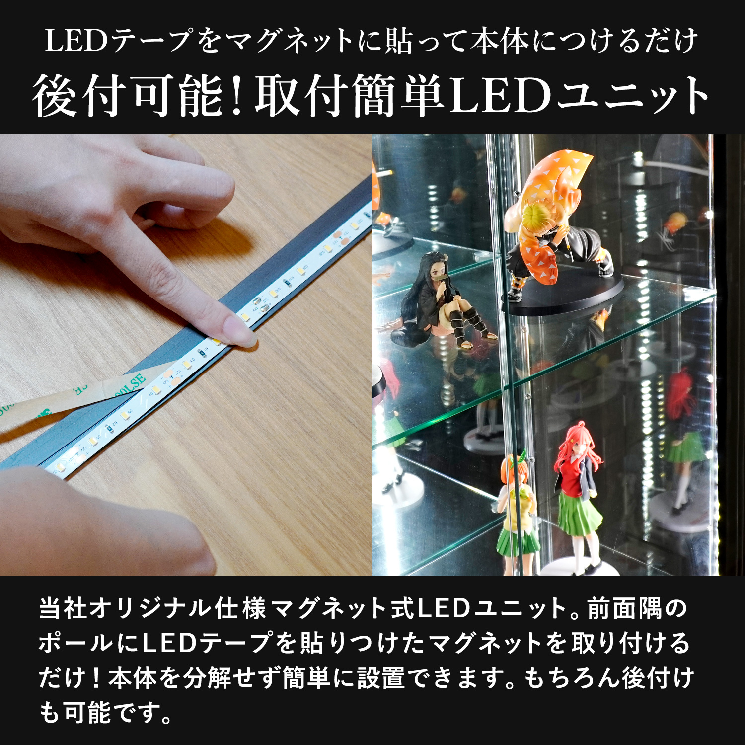 オプション] ガラスコレクションケースJONY ワイドハイタイプ