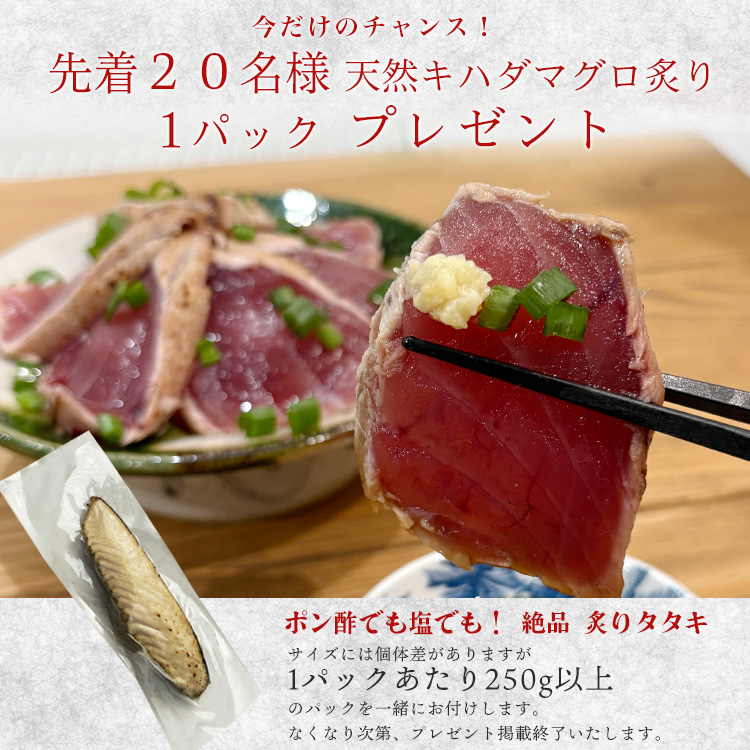 マグロしゅうまい天然まぐろ使用静岡県焼津市製造