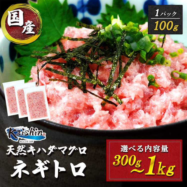 焼津 海の極 まぐろ