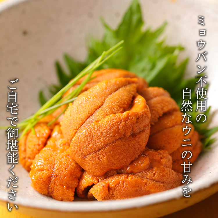 焼津海の極天然ウニミョウバン不使用国内製造100g
