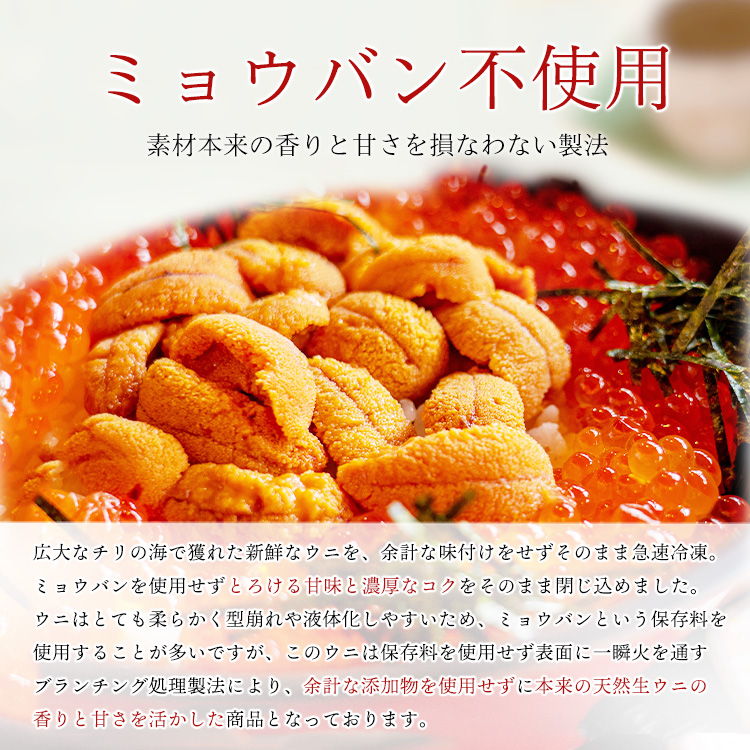 焼津海の極天然ウニミョウバン不使用国内製造100g