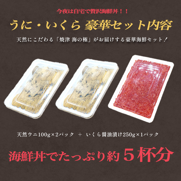 焼津海の極焼津海の極うにいくら丼セット鮭いくら醤油漬け