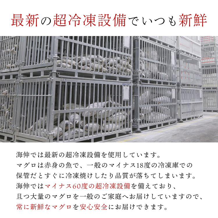 マグロしゅうまい天然まぐろ使用静岡県焼津市製造