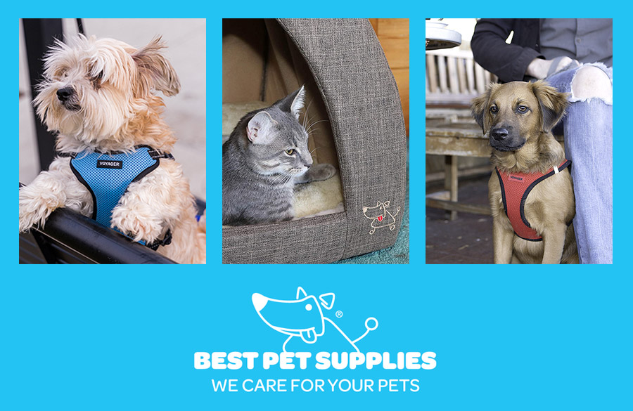 Best Pet Supplies NY発祥 高品質なペット商品 ベストペットサプライ